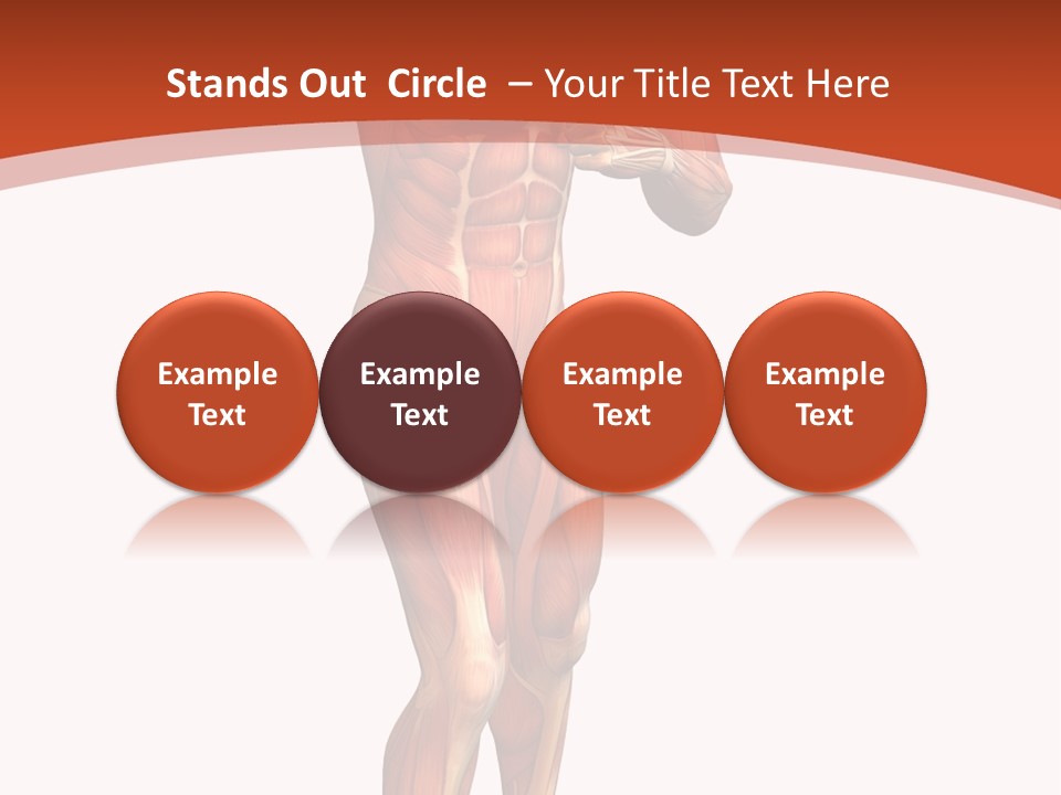 Fitness Health Thorax PowerPoint Template