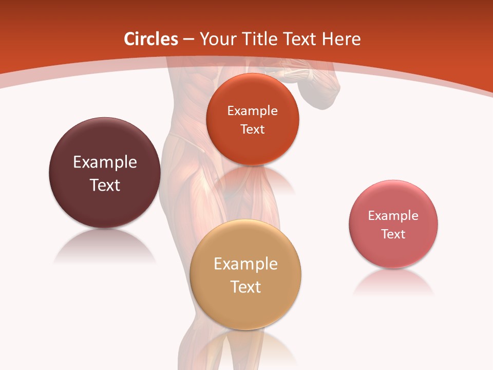 Fitness Health Thorax PowerPoint Template