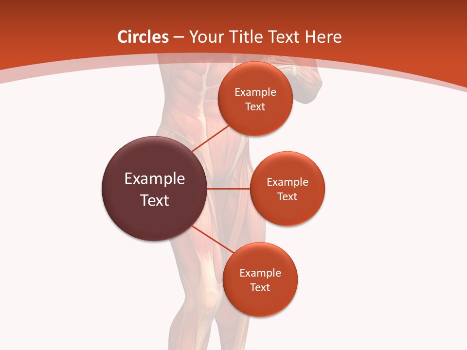 Fitness Health Thorax PowerPoint Template