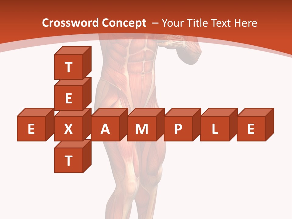 Fitness Health Thorax PowerPoint Template