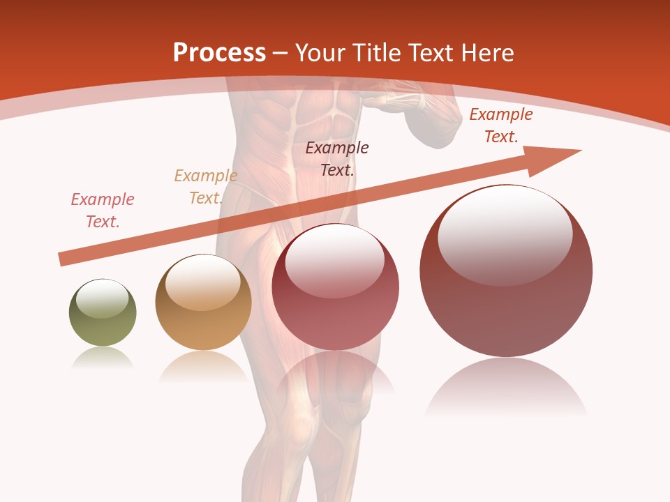 Fitness Health Thorax PowerPoint Template