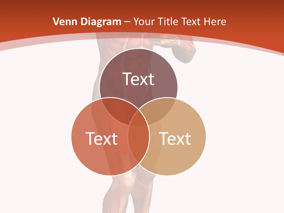 Fitness Health Thorax PowerPoint Template