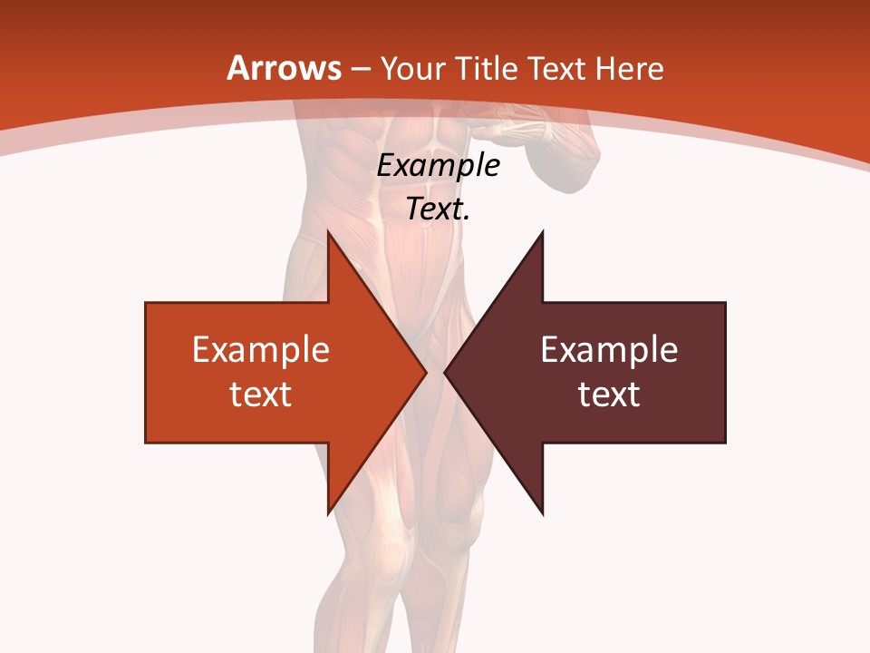 Fitness Health Thorax PowerPoint Template