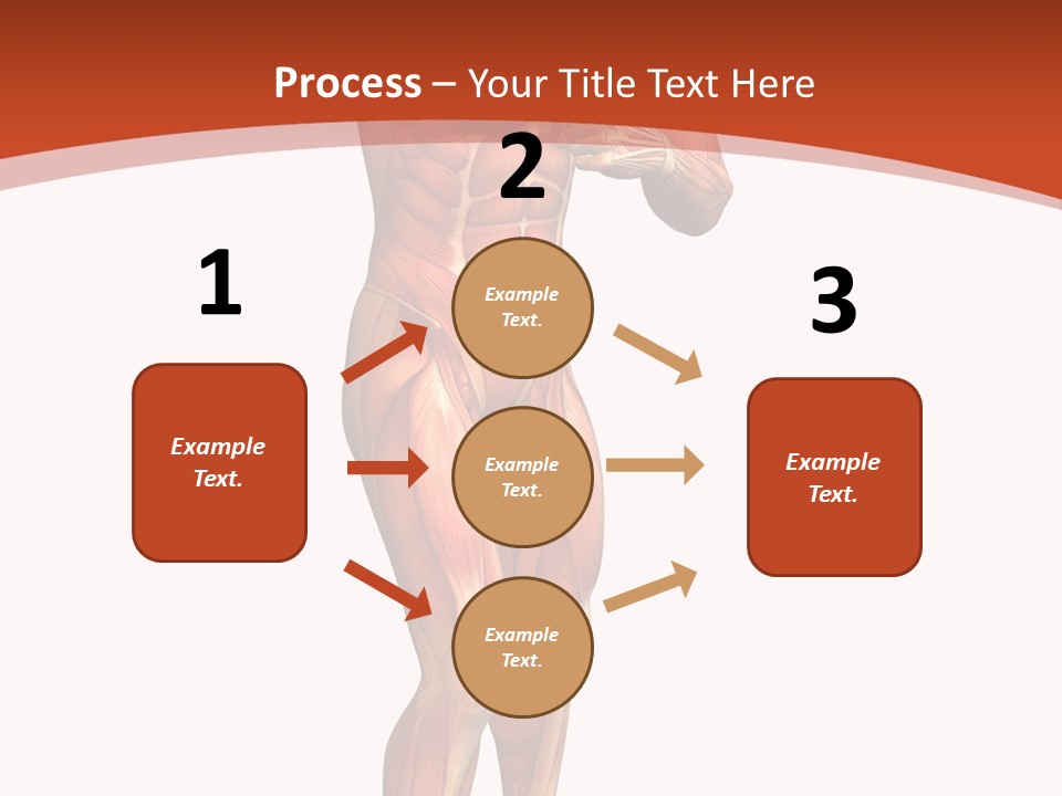 Fitness Health Thorax PowerPoint Template