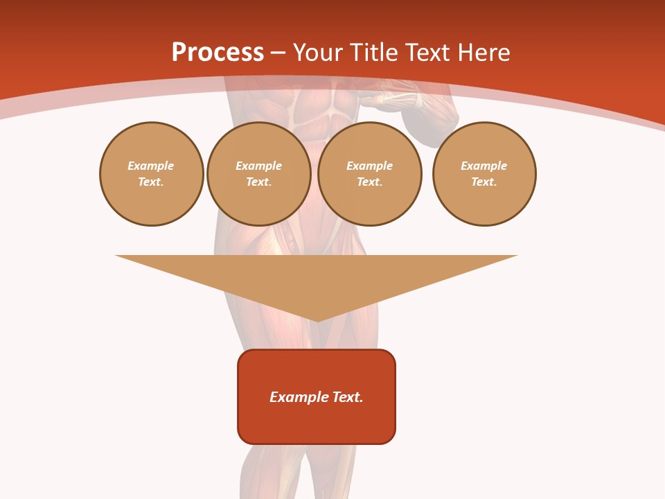 Fitness Health Thorax PowerPoint Template
