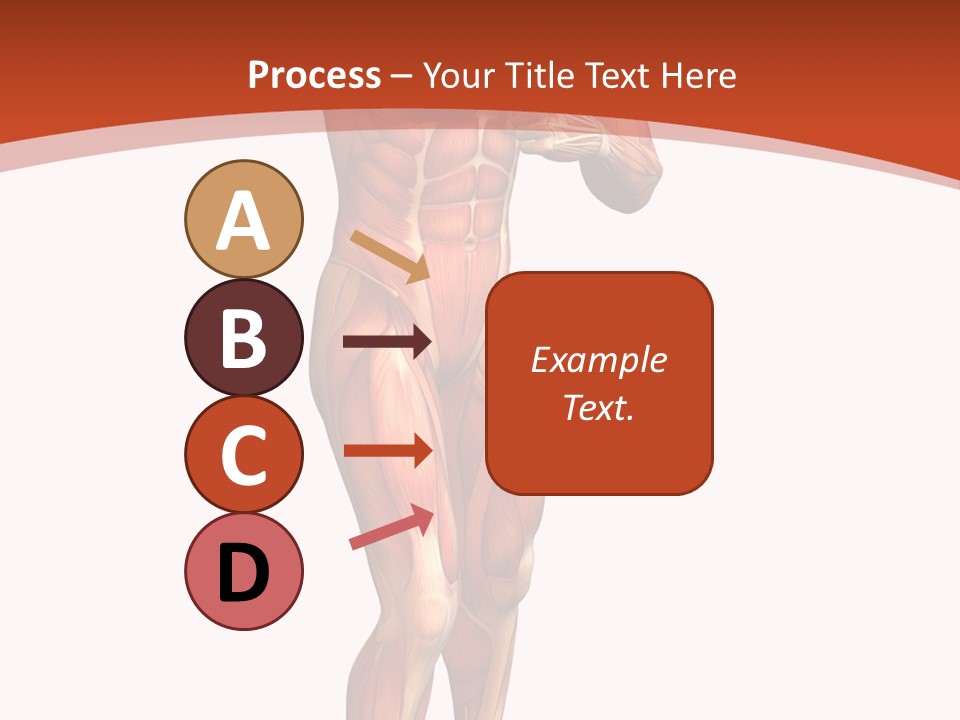 Fitness Health Thorax PowerPoint Template