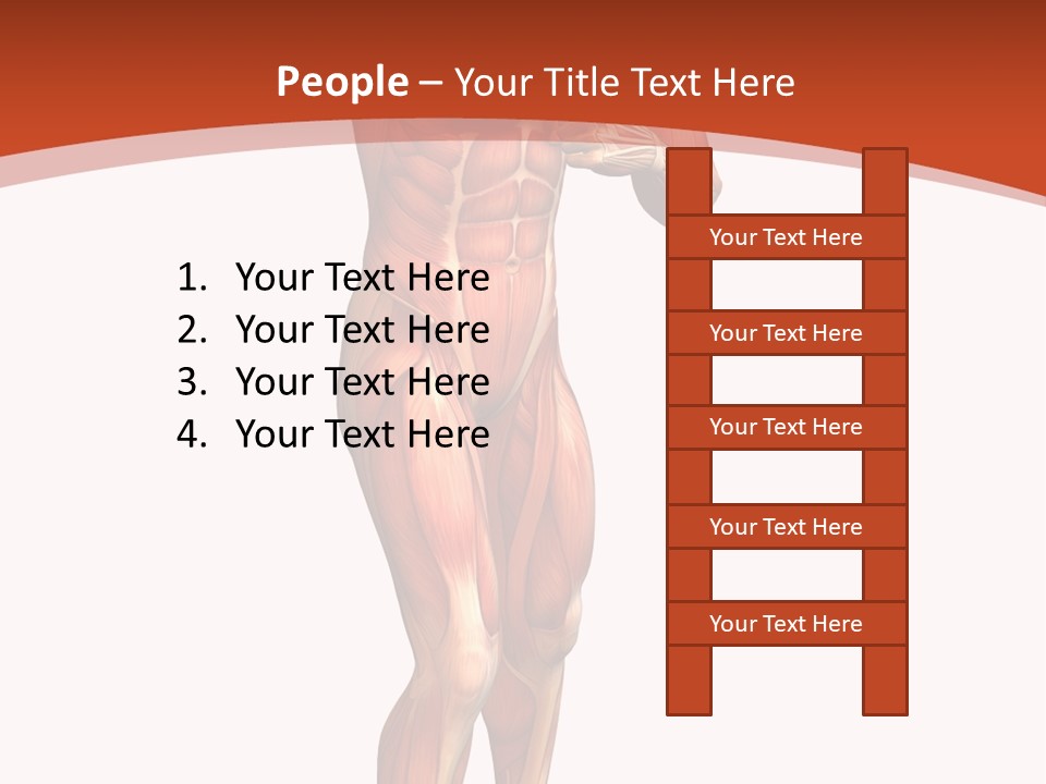 Fitness Health Thorax PowerPoint Template