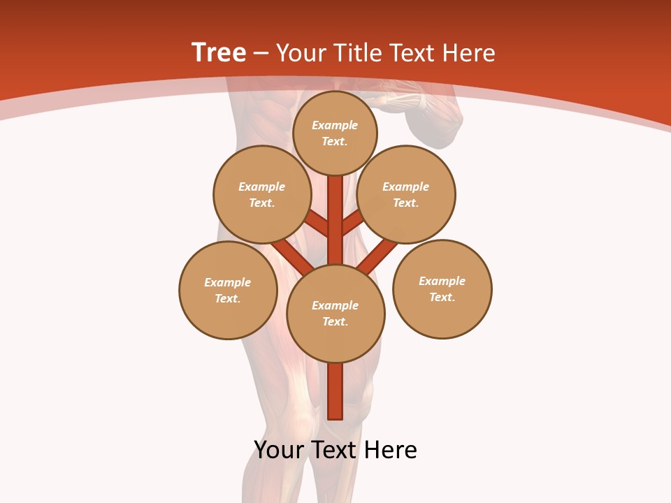 Fitness Health Thorax PowerPoint Template