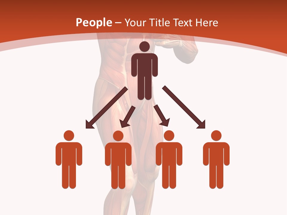 Fitness Health Thorax PowerPoint Template