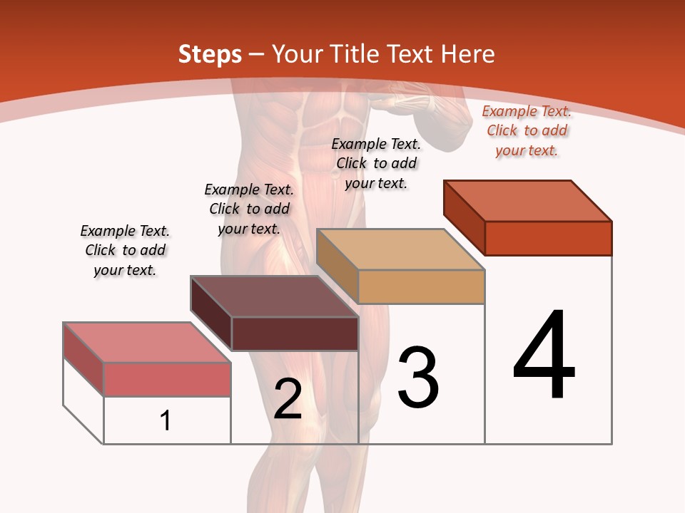 Fitness Health Thorax PowerPoint Template
