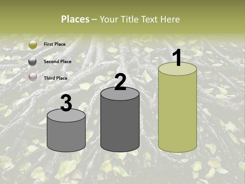 Park Pattern Background PowerPoint Template