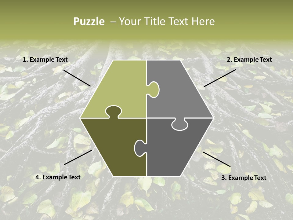 Park Pattern Background PowerPoint Template