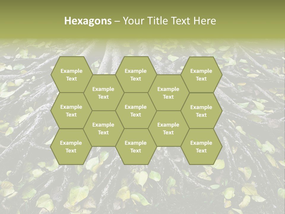 Park Pattern Background PowerPoint Template