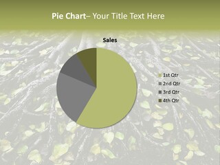 Park Pattern Background PowerPoint Template