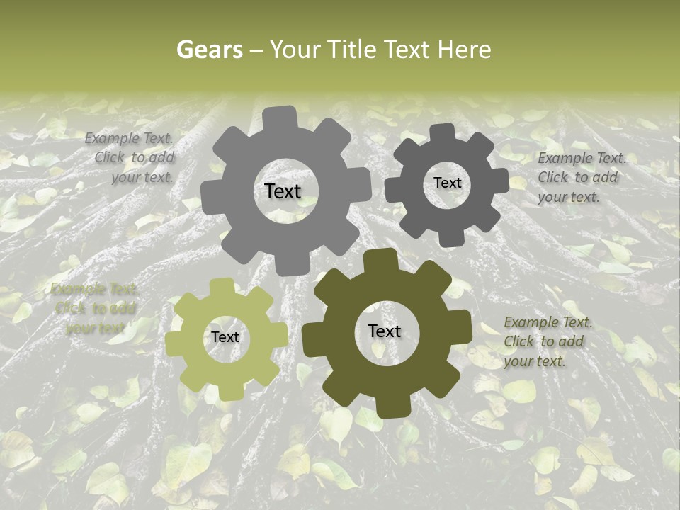 Park Pattern Background PowerPoint Template