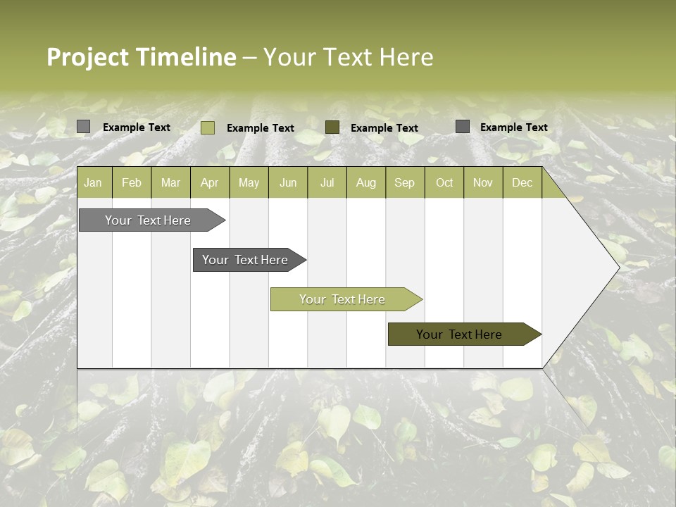 Park Pattern Background PowerPoint Template