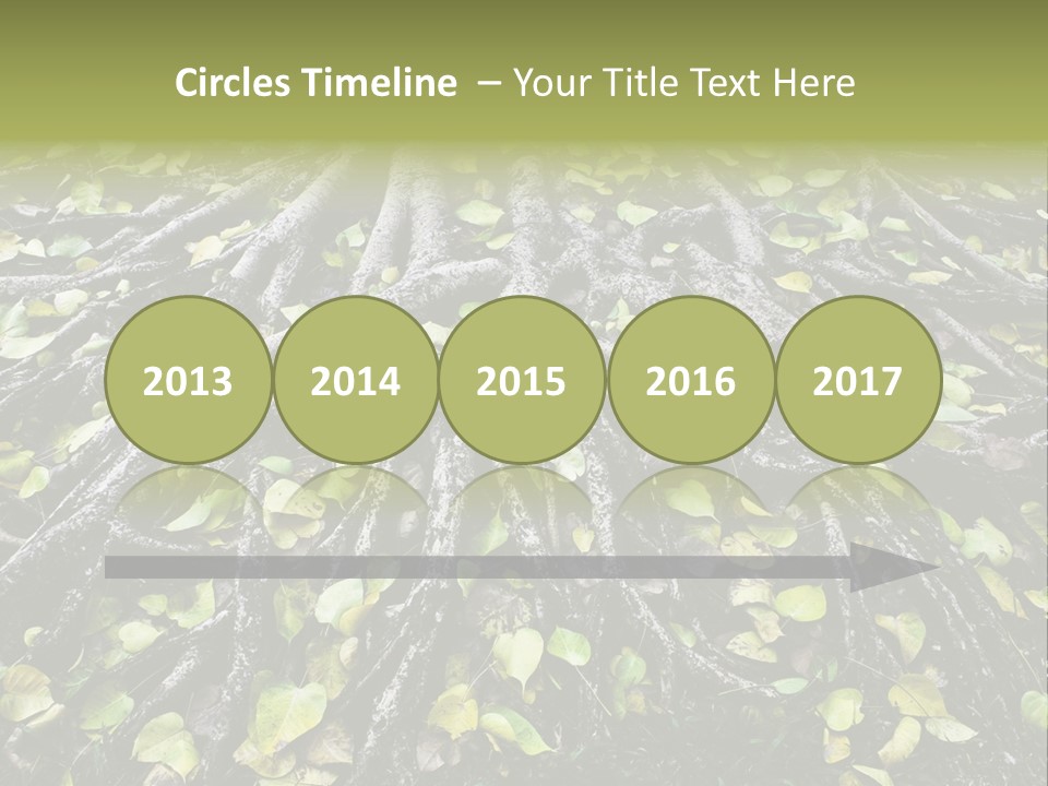 Park Pattern Background PowerPoint Template