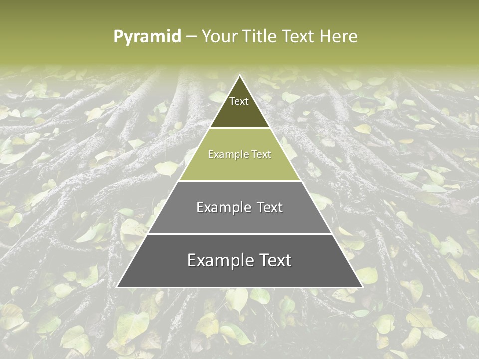 Park Pattern Background PowerPoint Template
