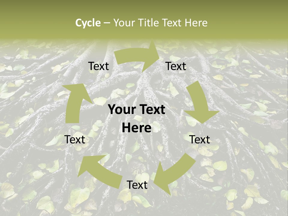 Park Pattern Background PowerPoint Template