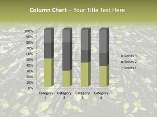 Park Pattern Background PowerPoint Template