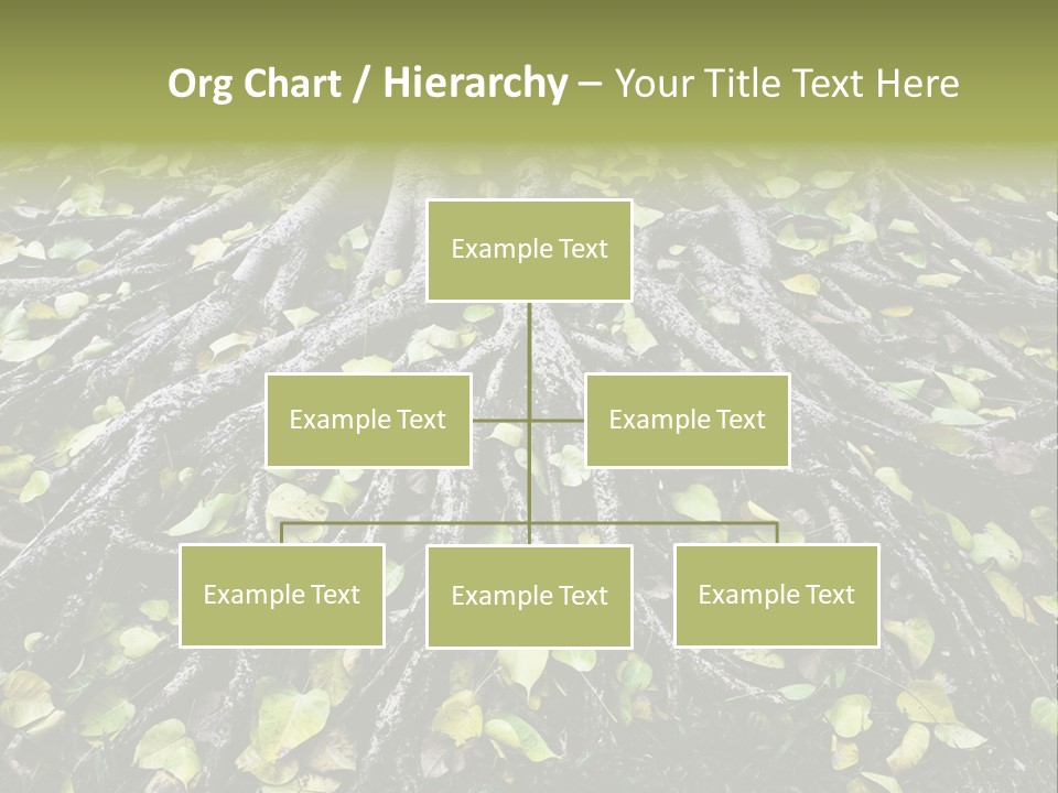 Park Pattern Background PowerPoint Template