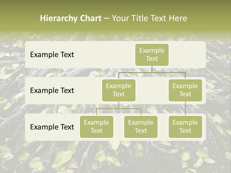 Park Pattern Background PowerPoint Template