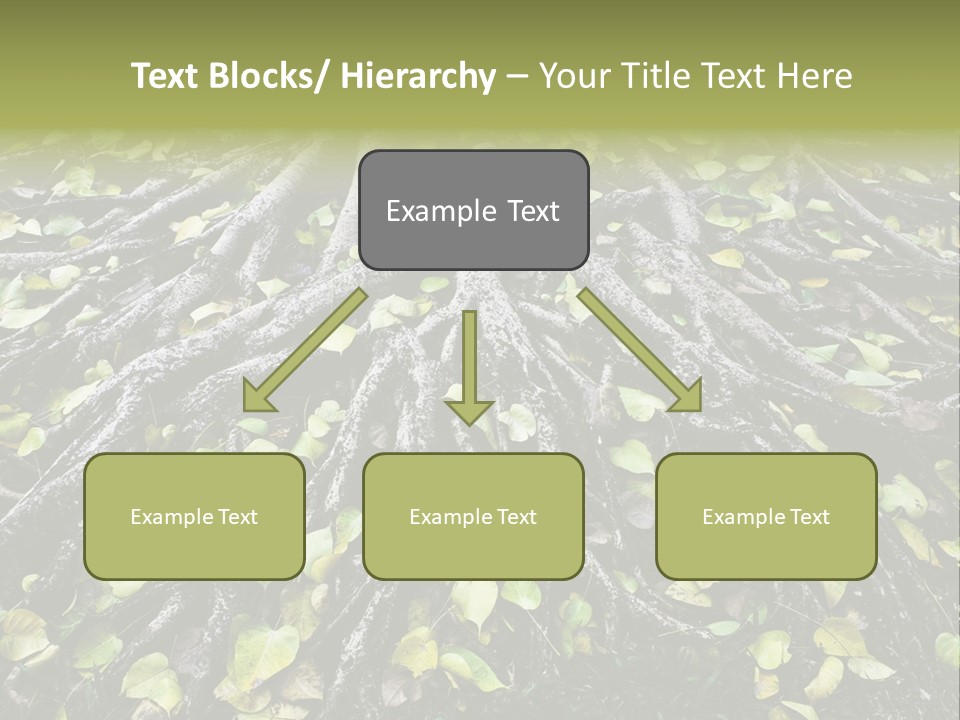Park Pattern Background PowerPoint Template