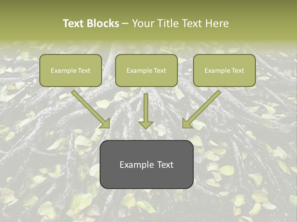Park Pattern Background PowerPoint Template