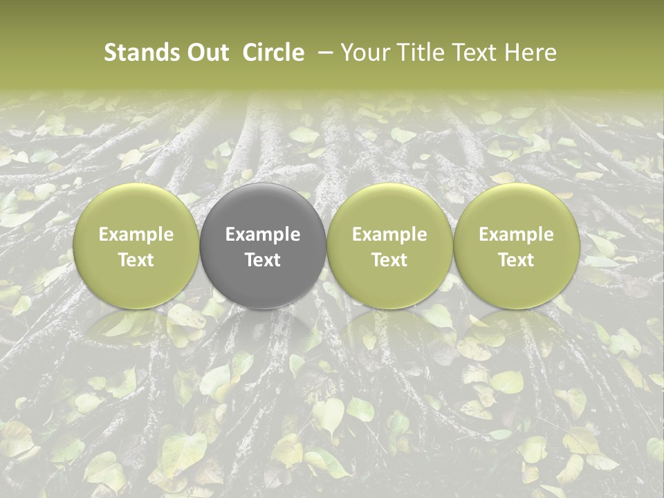 Park Pattern Background PowerPoint Template