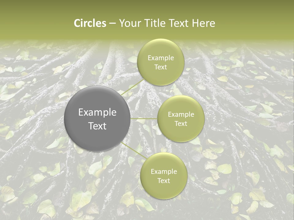 Park Pattern Background PowerPoint Template