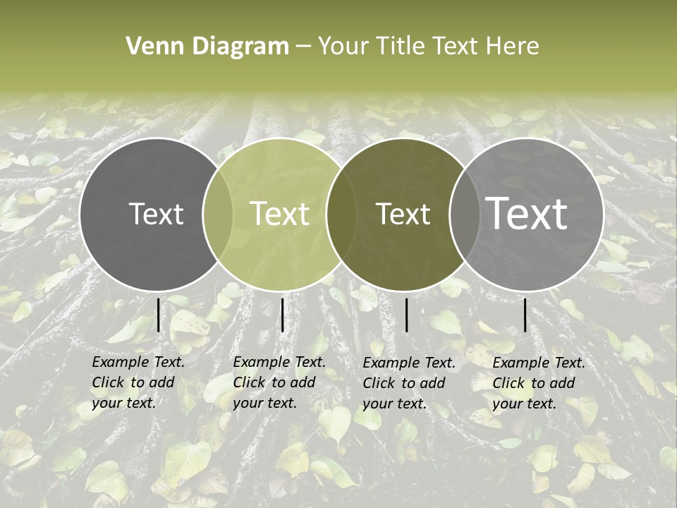 Park Pattern Background PowerPoint Template