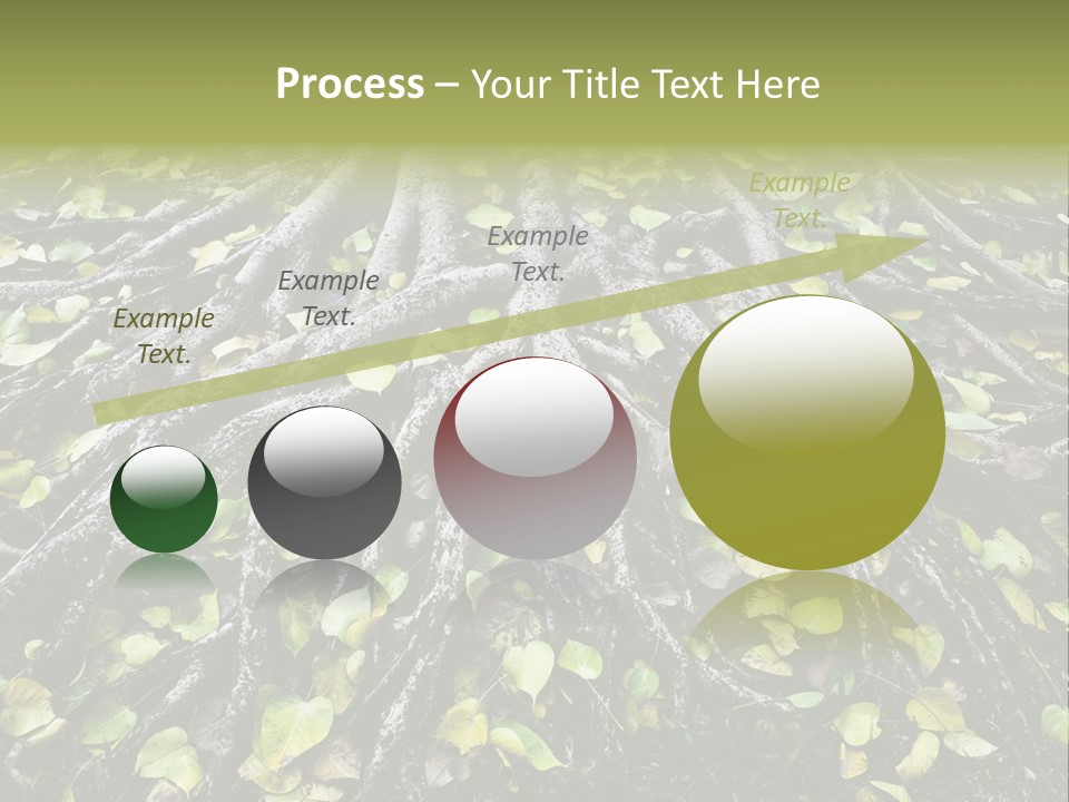 Park Pattern Background PowerPoint Template