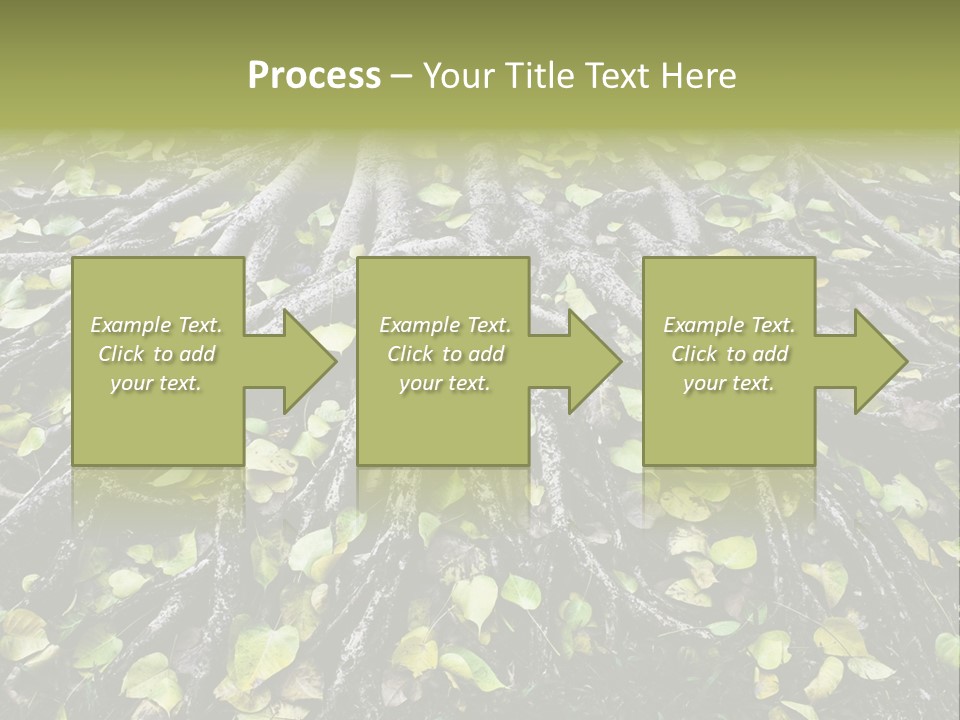 Park Pattern Background PowerPoint Template