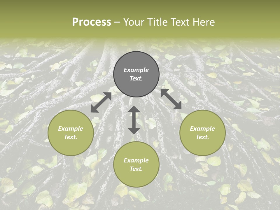 Park Pattern Background PowerPoint Template