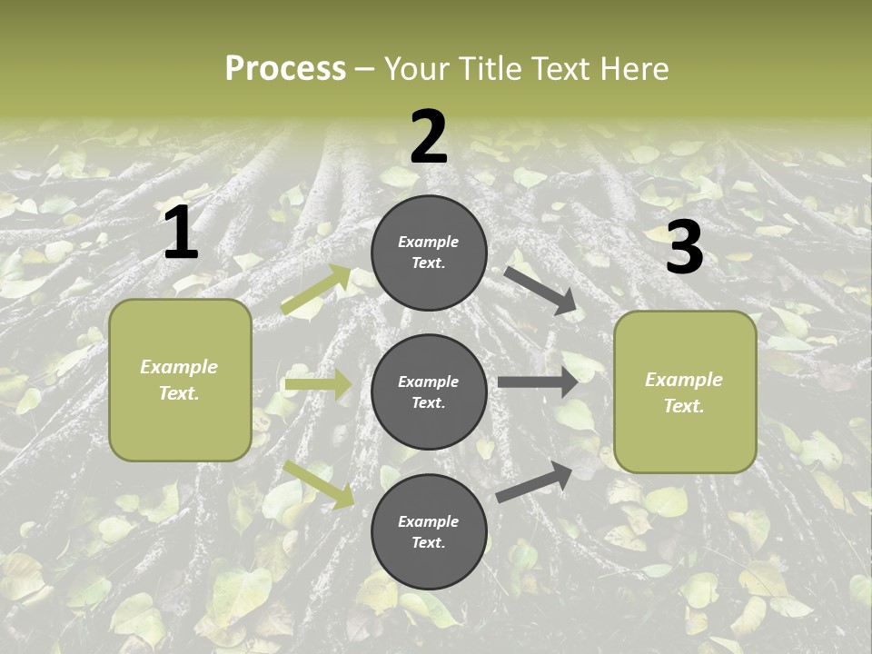 Park Pattern Background PowerPoint Template