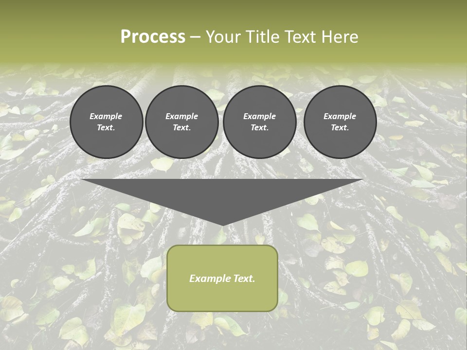 Park Pattern Background PowerPoint Template