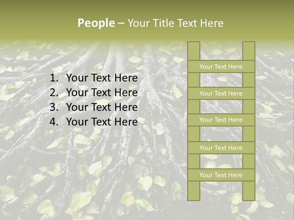 Park Pattern Background PowerPoint Template