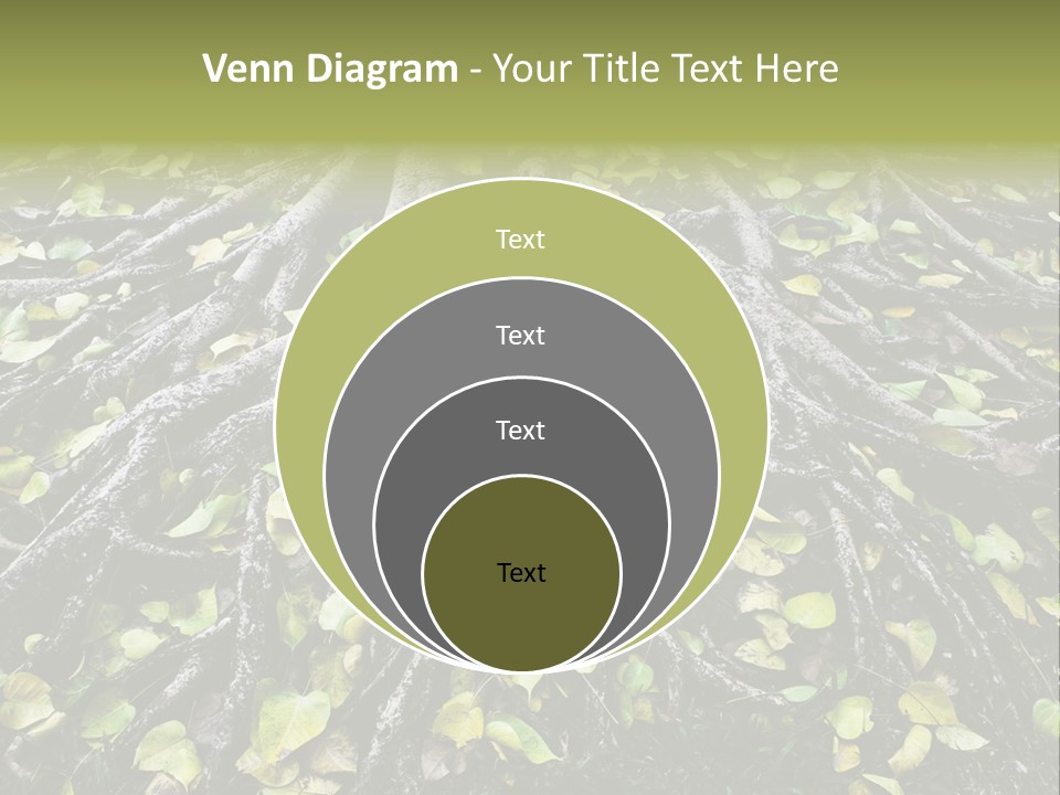 Park Pattern Background PowerPoint Template