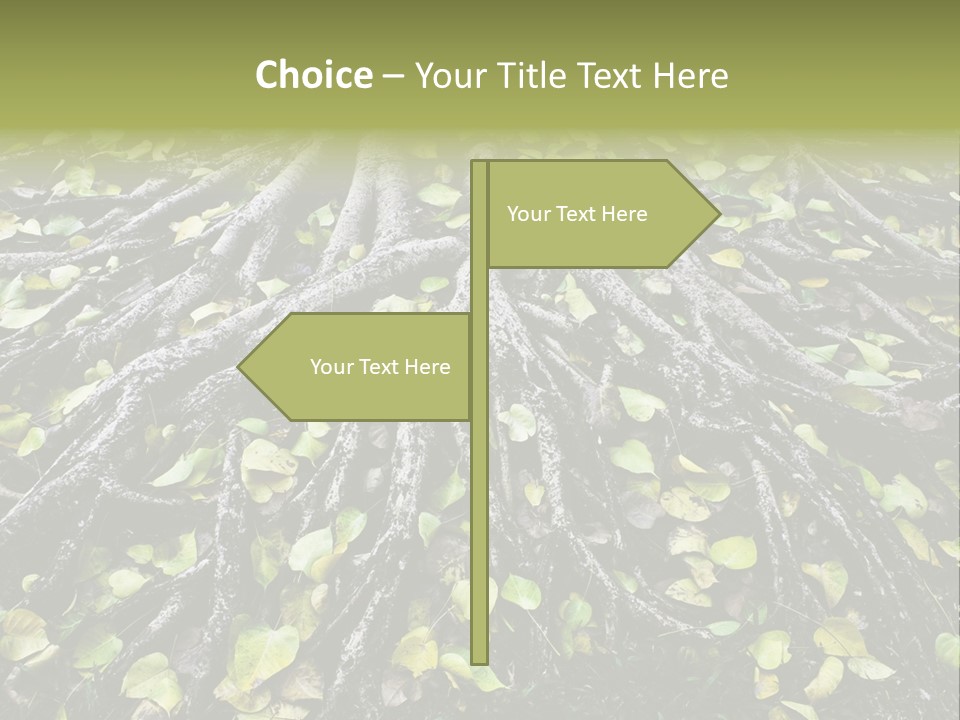 Park Pattern Background PowerPoint Template