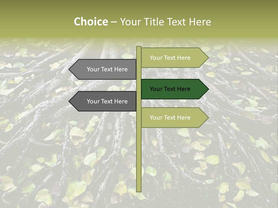 Park Pattern Background PowerPoint Template