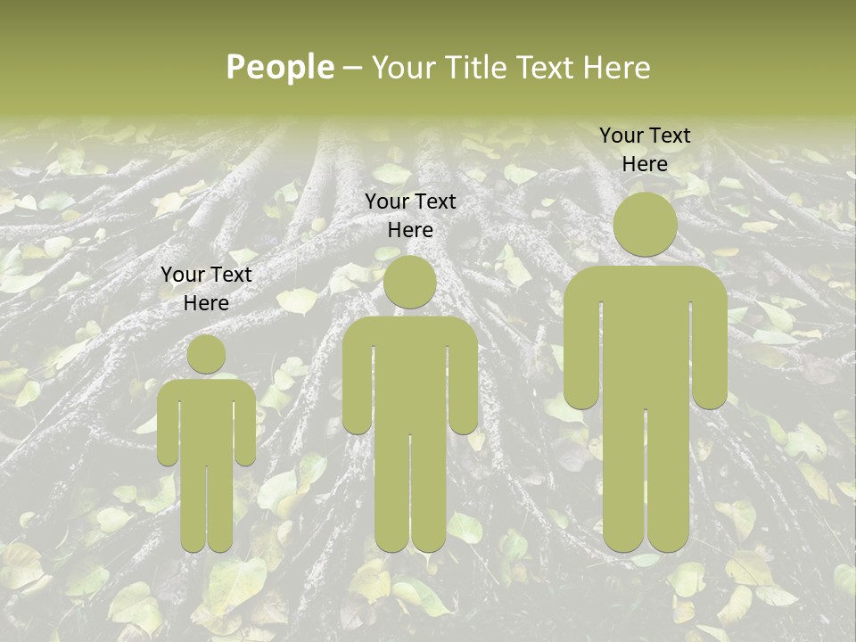 Park Pattern Background PowerPoint Template