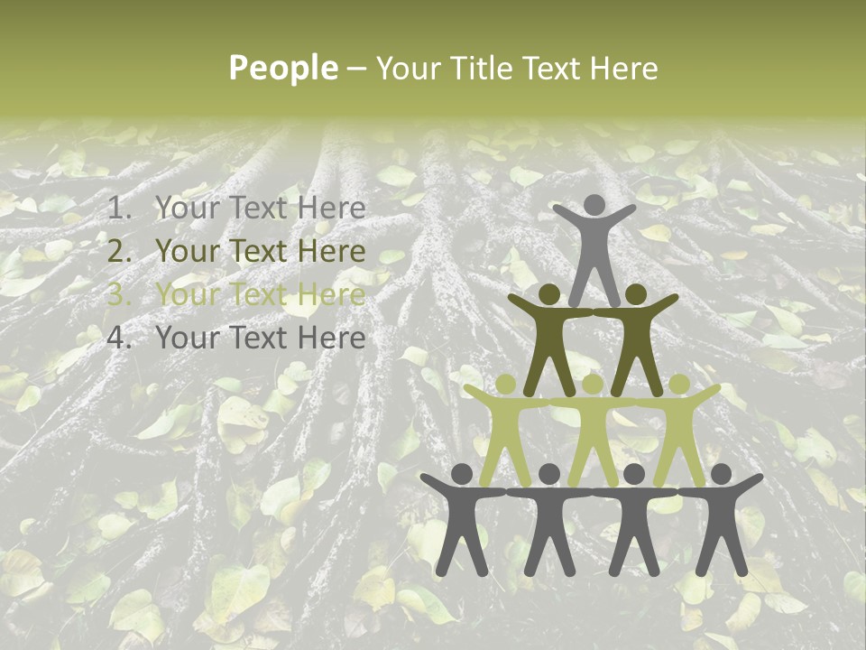 Park Pattern Background PowerPoint Template