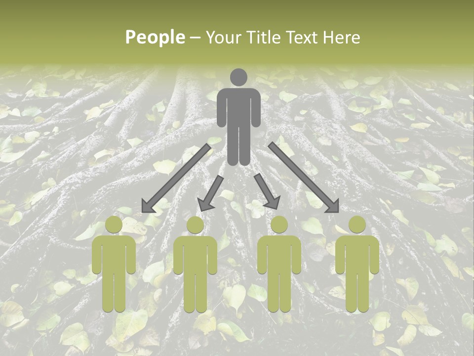 Park Pattern Background PowerPoint Template