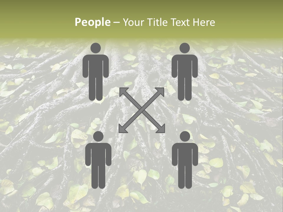 Park Pattern Background PowerPoint Template