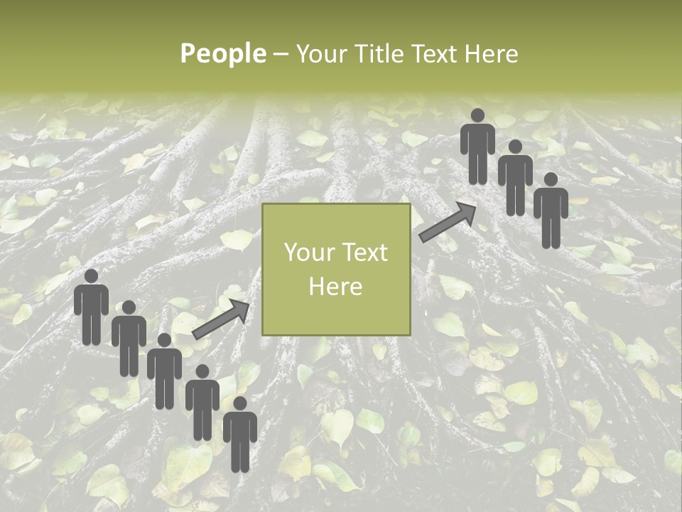 Park Pattern Background PowerPoint Template