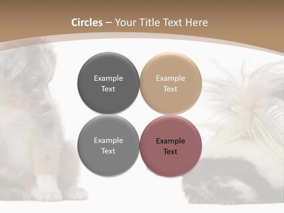 Mephitis Isolated Watching PowerPoint Template