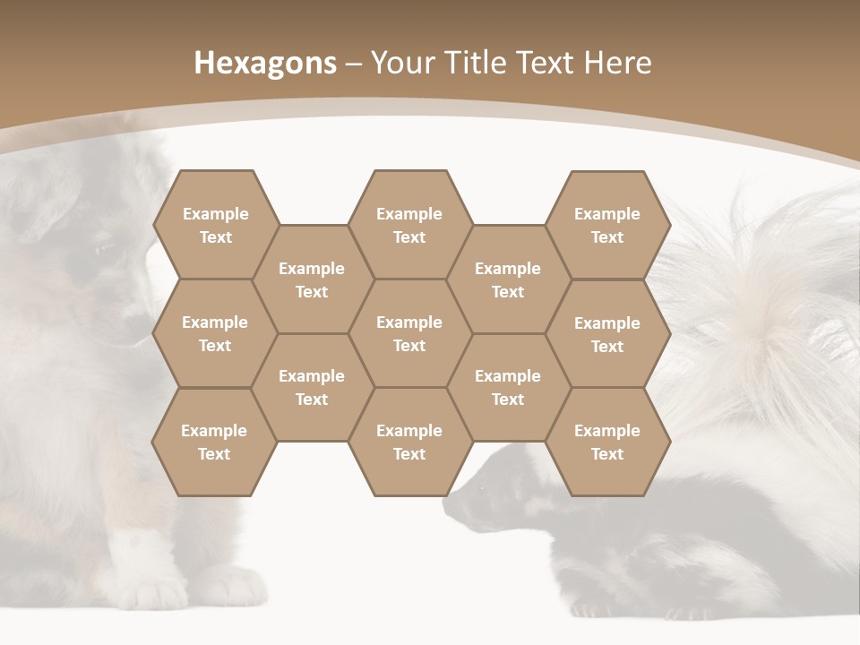 Mephitis Isolated Watching PowerPoint Template