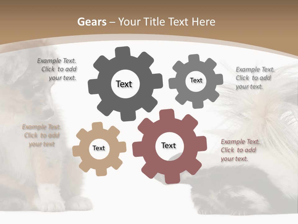 Mephitis Isolated Watching PowerPoint Template