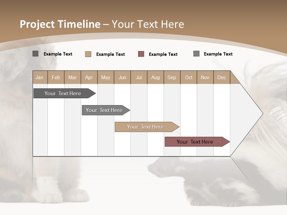 Mephitis Isolated Watching PowerPoint Template
