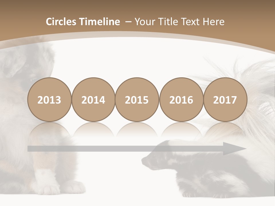 Mephitis Isolated Watching PowerPoint Template